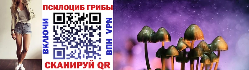 купить   Тогучин  hydra ТОР  Галлюциногенные грибы MAGIC MUSHROOMS 